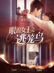 眼泪女王 电视剧 完整版观看 全季