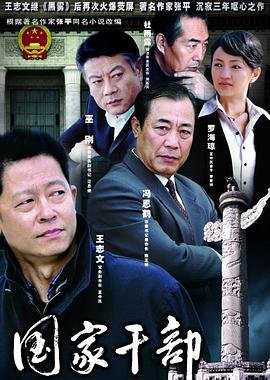 国家干部电视剧 完整版观看 超清版
