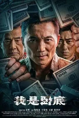 我是卧底 电影 在线观看 已完结