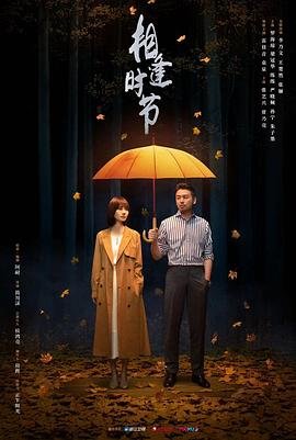 相逢时节电视剧免费观看 最近更新 清晰版