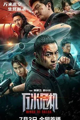 释小龙新片《万米危机》定档 正在观看 蓝光版