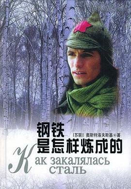 《钢铁是怎样炼成的》 高清在线播放 粤语版