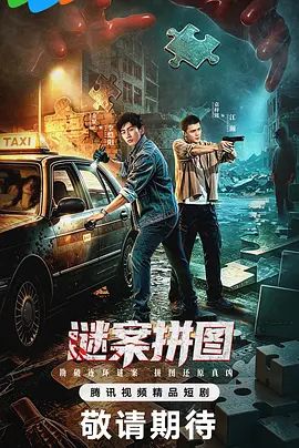 谜案拼图 影院热映 第三季