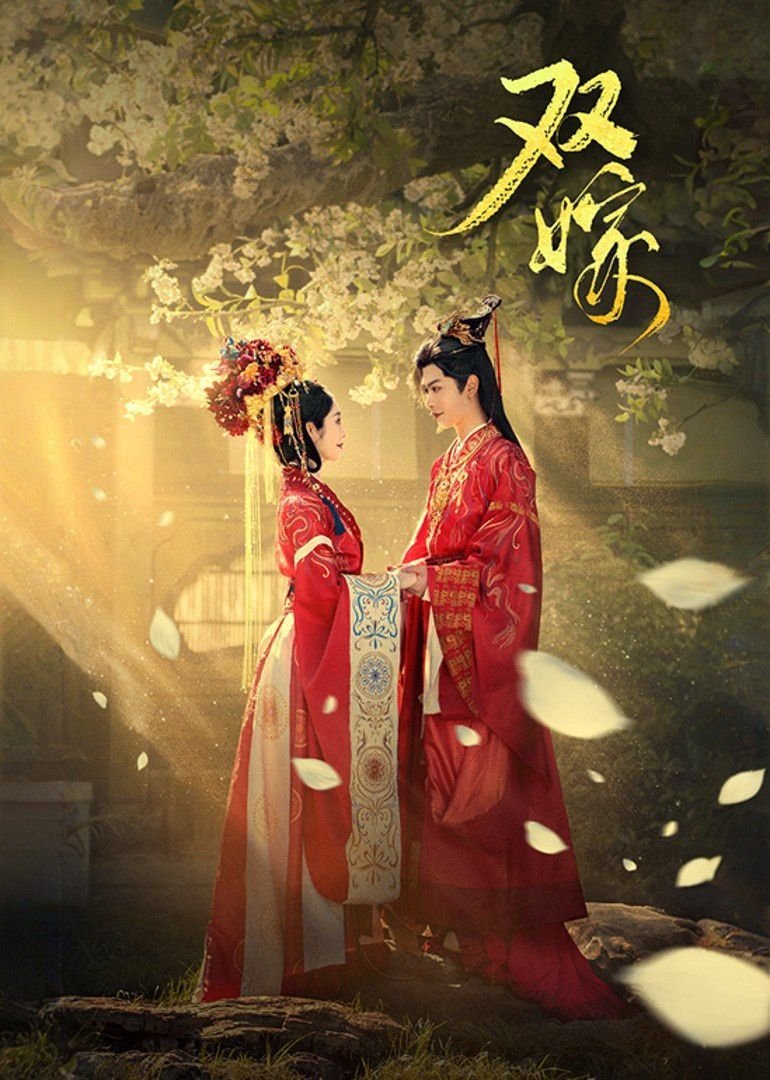 双嫁 推荐观看 高清完整版