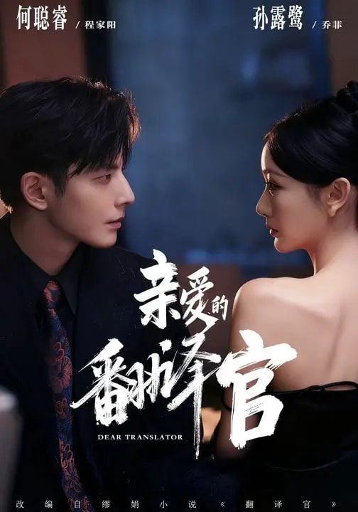 亲爱的翻译官 在线观看 更新至